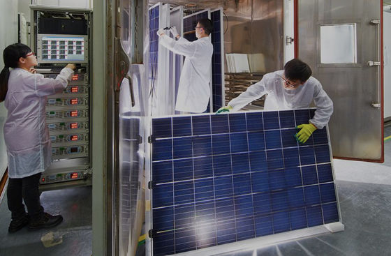 Certification CE du projecteur de bout en bout — Service tout compris GTS
