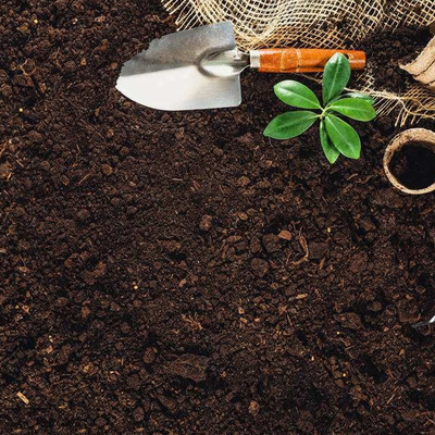 Affaires agricoles d'essai en laboratoire de sol à vendre service d'authentification de certification globale le tiers