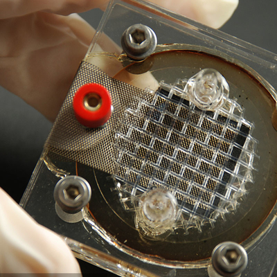 Essai des LPS SELV des compagnies EMC de laboratoires d'essais de l'électronique d'équipement de Reverberator tiers et services d'authentification