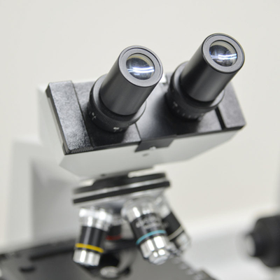L'essai en laboratoire certifié d'OIN ISO8124 15189 entretient le tiers service d'authentification de Toy Test